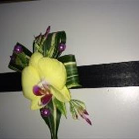 fwthumbButtonhole 2.jpg